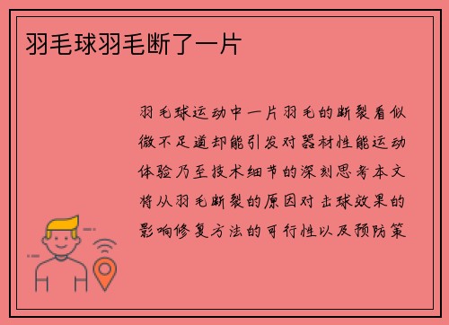 羽毛球羽毛断了一片